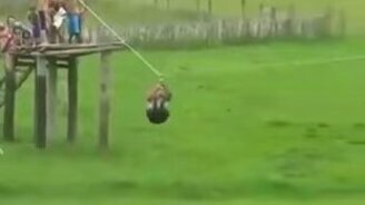 Риск толстяка на аттракционе - смотреть видео (1:09)