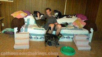 Одинокий и зависимый от кошек - смотреть видео (2:05)