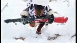 Такса-партизанка - смотреть видео (2:01)