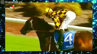 Смешная подборочка приколов - смотреть видео (2:35)