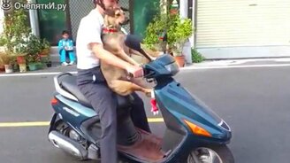 Сборник весёлостей - смотреть видео (3:06)