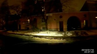 Правильный кот-пешеход - смотреть видео (0:34)