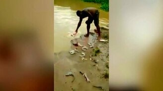 Ловля пираний - смотреть видео (0:49)