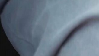 Зубры на дороге - смотреть видео (0:27)