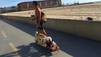 Хорошо едете, однако! - смотреть видео (0:43)