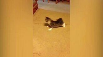 Поединок с отражением - смотреть видео (0:34)