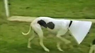 В два счёта устранил соперников - смотреть видео (0:06)