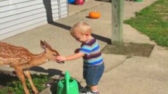 Ребёнок и оленёнок - смотреть видео (0:37)