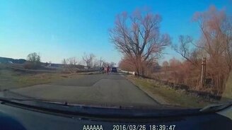 Курьёзная авария с участием коня - смотреть видео (0:40)