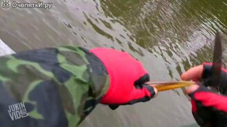 Рыбак спасает цаплю - смотреть видео (0:49)