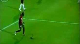 Отправил утку за границу - смотреть видео (0:21)