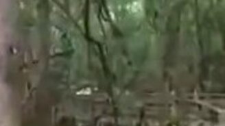 Нежданная встреча с пумой - смотреть видео (0:16)