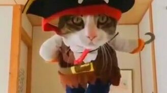 Разные весёлые сюжеты - смотреть видео (3:27)