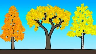 Почему листья осенью меняют цвет? - смотреть видео (2:26)