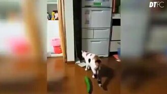 Когда Роналду празднует гол - смотреть видео (0:30)