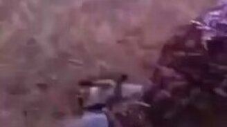 Енот испугал охотника - смотреть видео (0:06)