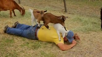 Три козлёнка против деда - смотреть видео (1:20)