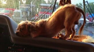 Провальная поза для сна - смотреть видео (0:15)