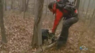 Как атакуют кабаны - смотреть видео (2:26)