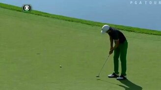 Спешка нужна при охоте на блох - смотреть видео (0:44)