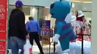 Пчёлка шутница - смотреть видео (0:09)