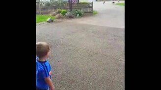 Мальчик общается с индюками - смотреть видео (0:19)