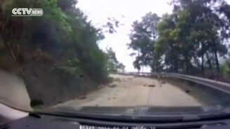 Чутьё не подвело - смотреть видео (0:35)