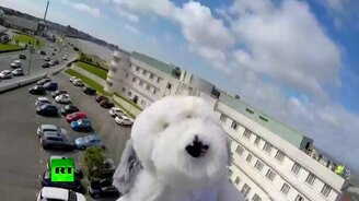 Игрушка в стратосфере - смотреть видео (1:49)