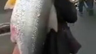 Самый удачный большой улов - смотреть видео (0:35)