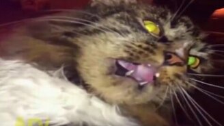 Слишком холодное удовольствие - смотреть видео (0:10)