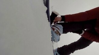 Не заметила медведя - смотреть видео (1:18)