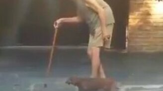 Этот пёс - само терпение! - смотреть видео (0:54)