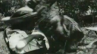 Первый в мире ролик с кошкой - смотреть видео (0:44)