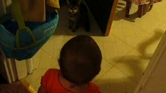 Малышка общается с котом - смотреть видео (1:42)