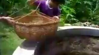 Как кот спас себя из колодца - смотреть видео (0:38)