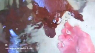 Игривый утконос - смотреть видео (0:51)