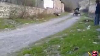 Самый суровый водитель осла - смотреть видео (0:34)