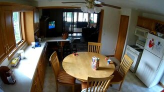 Пёс-проказник попал в ловушку - смотреть видео (0:21)