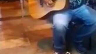 Котята слушают музыканта - смотреть видео (1:21)