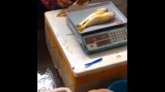 Как китайские продавцы рыбы мухлюют - смотреть видео (0:57)