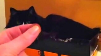 Не трогай это! - смотреть видео (0:19)