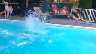 Катапультировалась с детского велика - смотреть видео (0:23)