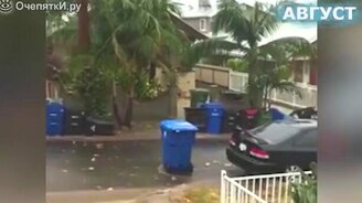 Курьёзы и приколы из-за погоды - смотреть видео (4:24)