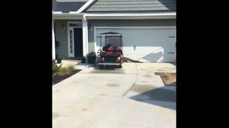 Аллигатор звонит в дверь - смотреть видео (0:21)