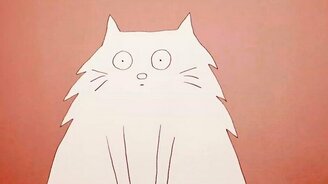 Объяснения поведения кошек - смотреть видео (5:12)