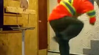 Как попугай негодует - смотреть видео (1:18)