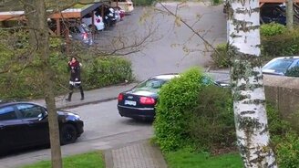 Белка преследует девушку - смотреть видео (1:35)