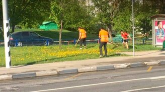 Косим траву, чем попало - смотреть видео (0:17)