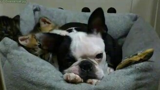 Только ради тебя - смотреть видео (1:04)