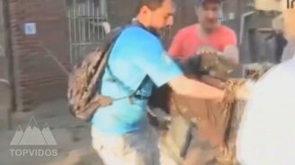 Трогательные спасения животных - смотреть видео (7:09)